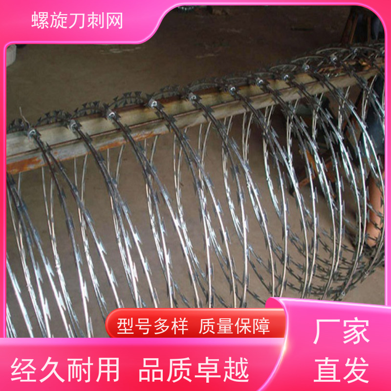 围墙防爬刺高锌刀片刺网刺丝滚笼防腐性能好