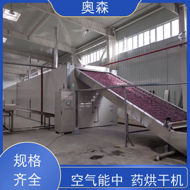 奥森 自动化干燥设备 粮食烘干机 可烘多种原材料 经久耐用