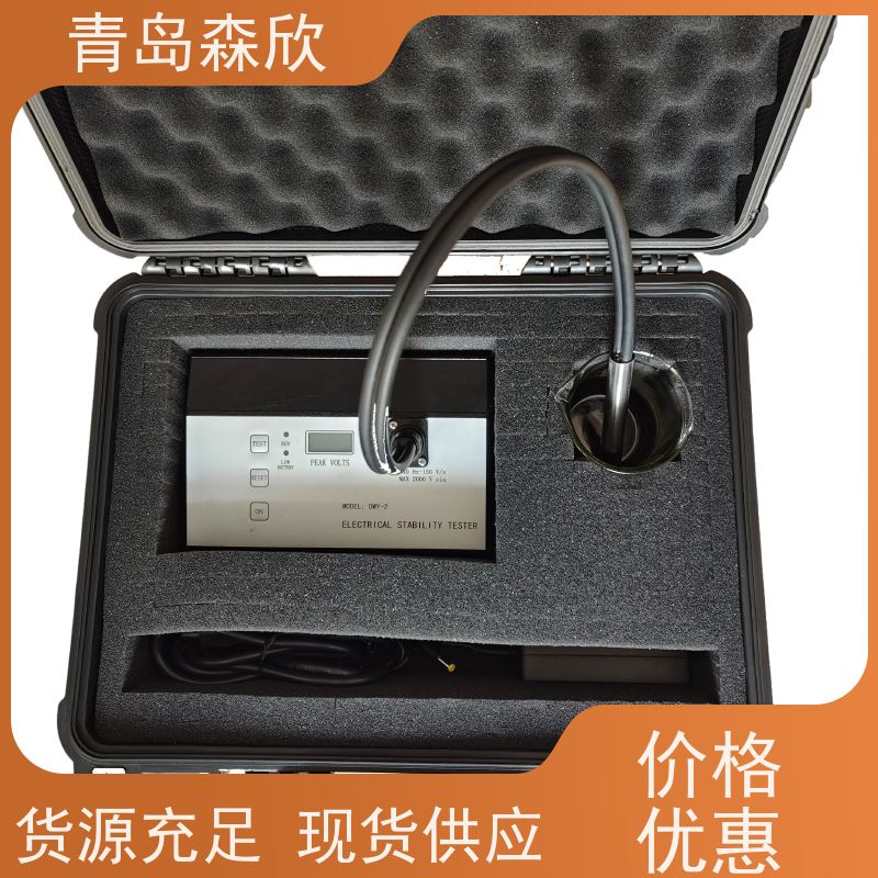 DWY-2型电稳定性测试仪森欣生产厂家