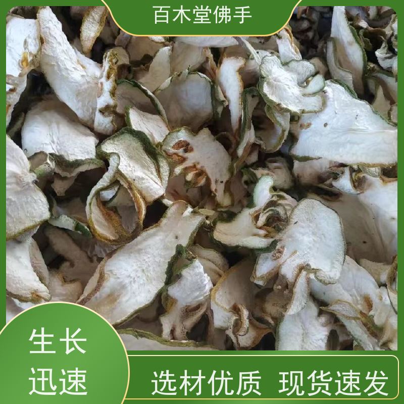 百木堂 绵 阳佛手 生长环境适应性强 中药材种植基地 