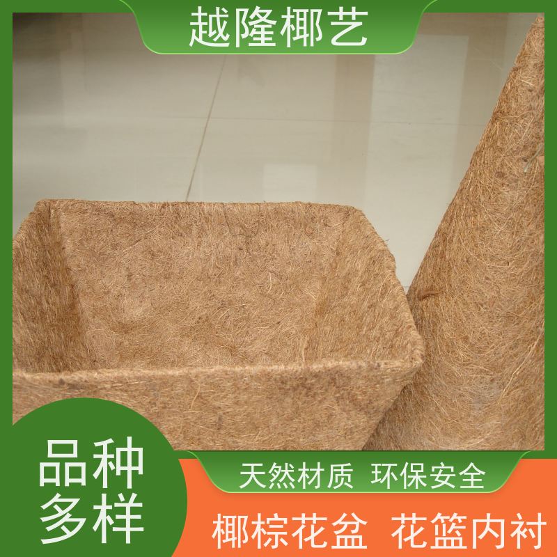 越隆椰艺 多肉垂钓花篮 平底椰棕吊篮 高档绿化装饰 品质可信