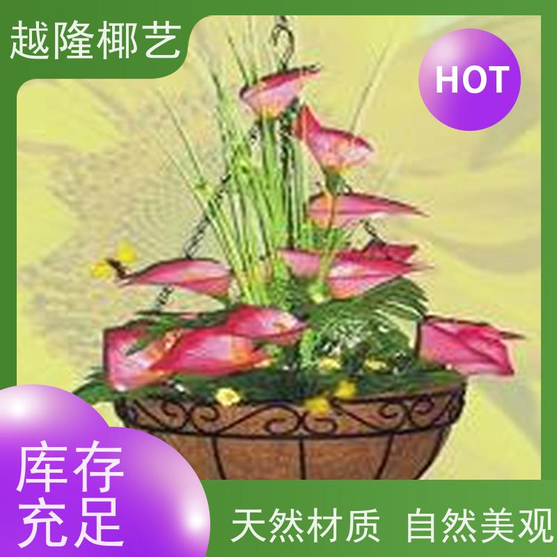 越隆椰艺 铁艺壁挂花篮 方形椰衣 无纺布内胆 适用广泛