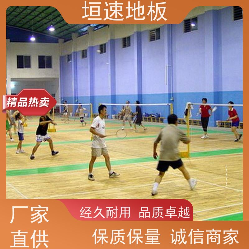 垣速体育 网球场施工厂家 运动地面 篮球地胶 制作