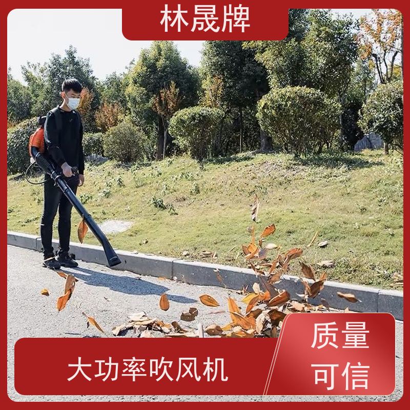 林晟牌 大功率背式吹尘除雪机 吹风机 可有效灭火 可按需定制