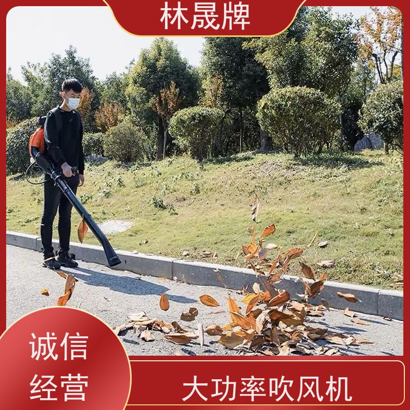 林晟牌 机械吹雪机 吹风机 做工精细 品质可信 支持定制