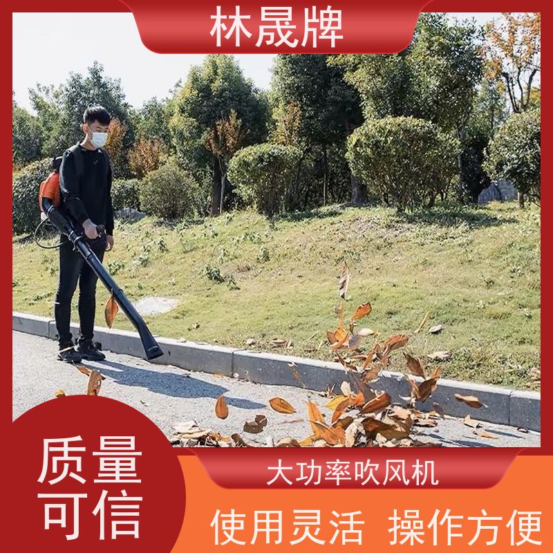 林晟牌 肩背式大功率消防吹风机 灭火器 做工精细 品质可信 性价比高