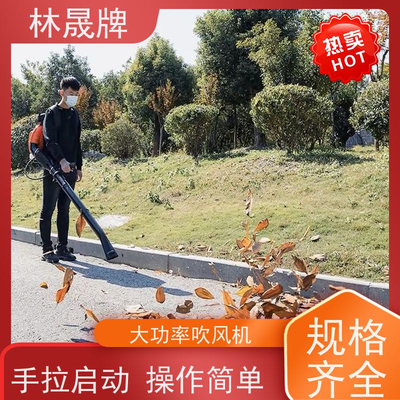 林晟牌 工地清理用吹灰机 二冲程风力灭火机 使用方便 性价比高