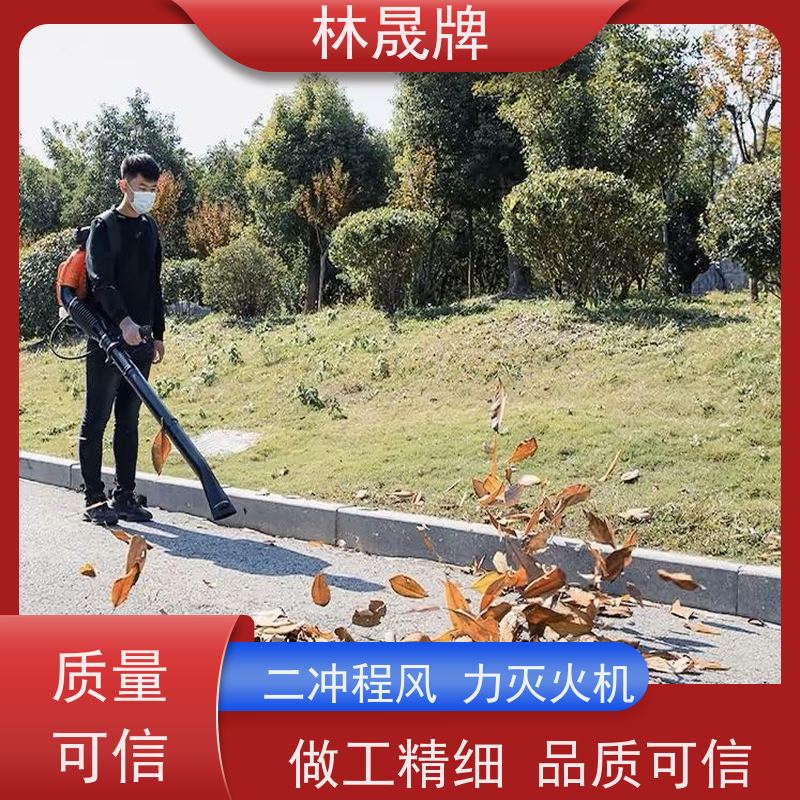 林晟牌 森林扑火消防吹雪机 灭火器 性能稳定 接受定制