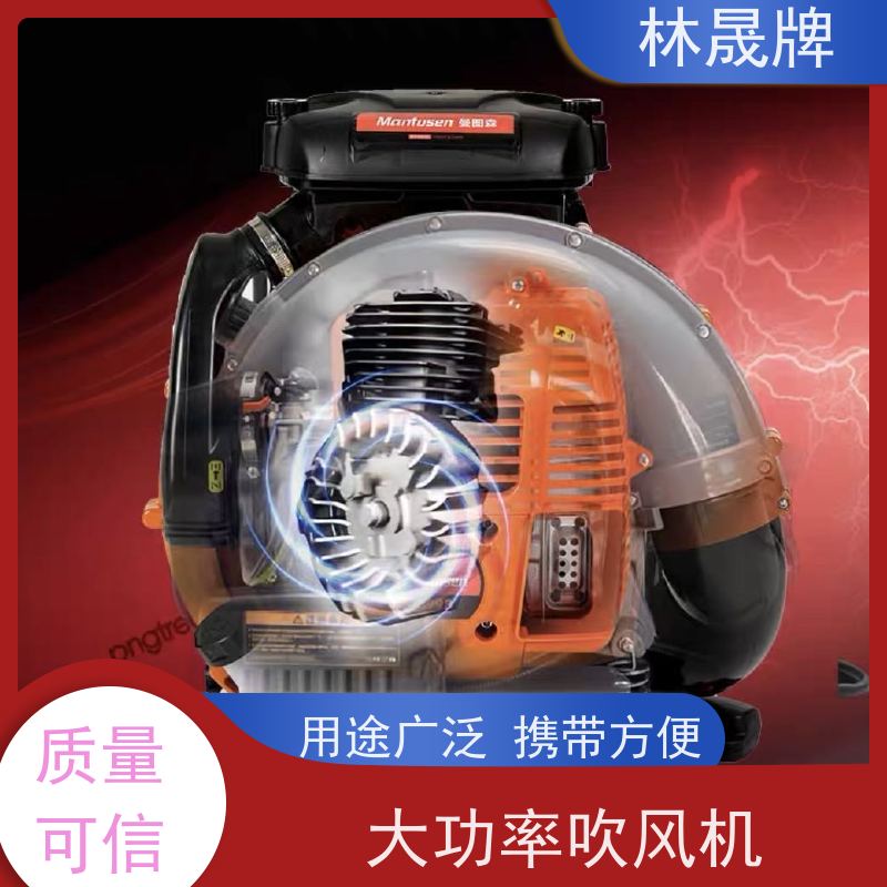 林晟牌 大棚落叶清理吹雪机 背负式风力灭火机 使用方便 可按需定制
