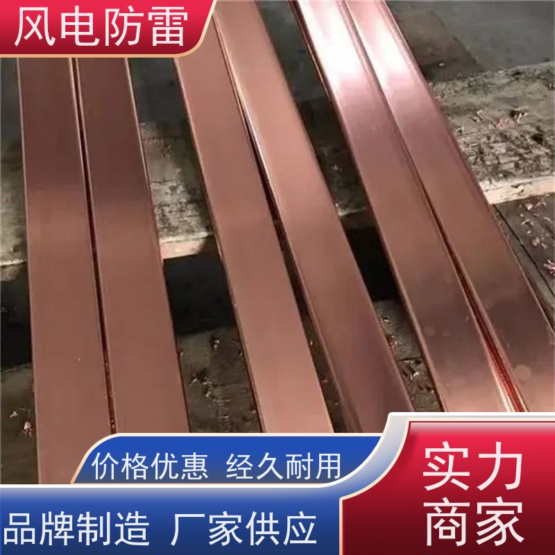 风电防雷 性能稳定 使用安全 降 阻效果好 铜覆钢接地装置