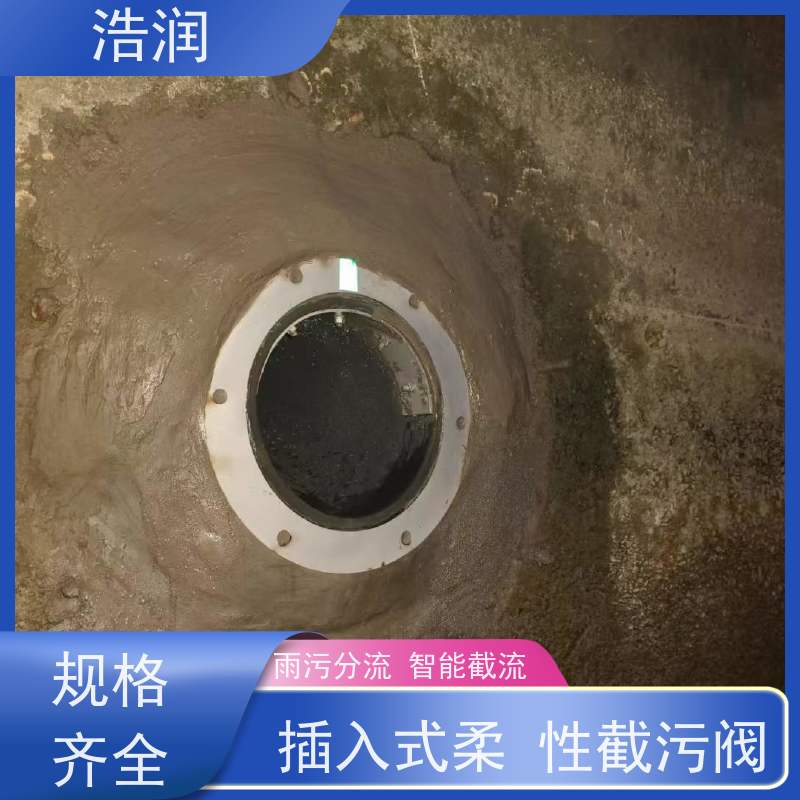 浩润 全国供应 防倒灌器 优选材料 持久耐用 按需定制