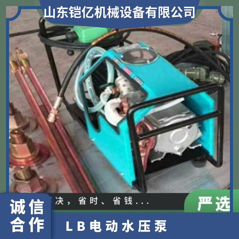 LB-7*10电动加压泵硫化机配套使用可订做3米高压软管