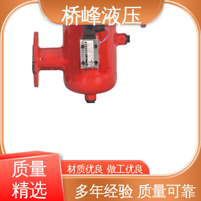 发货迅速 支持定制 品质优良 精良大流量双筒过滤器 桥峰
