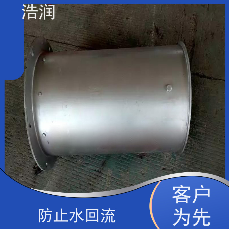 浩润 管中型防倒灌器 处理污水量 10-8000m3/h 支持加工定制