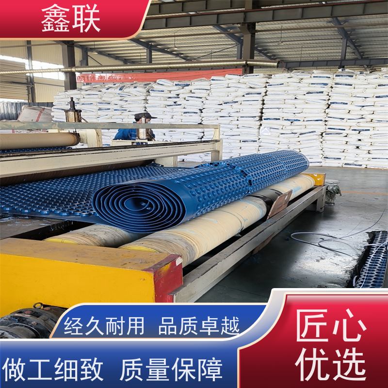 鑫联 凹凸型排蓄水板 塑料凸片排水层 建筑工程 耐腐蚀