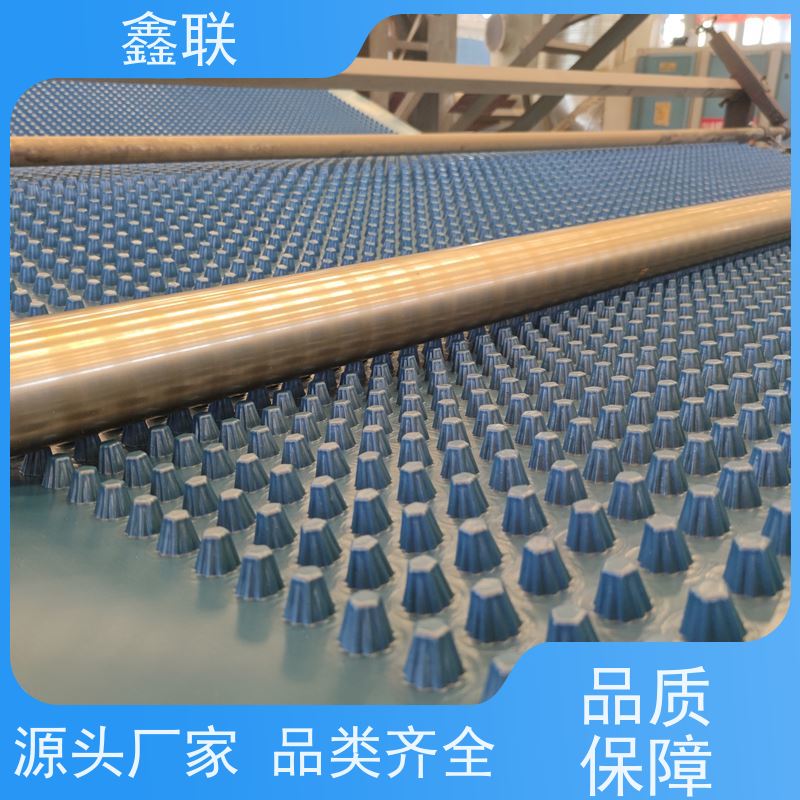 鑫联 塑料排水板 复合土工膜 建筑工程 免费邮寄样品