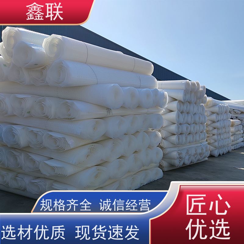 鑫联 塑料夹层排水板（成品） 塑料凸片排水层 建筑工程 耐腐蚀