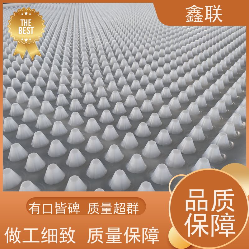 鑫联 塑料夹层排水板（成品） 塑料凸片排水层 车库顶板 免费邮寄样品