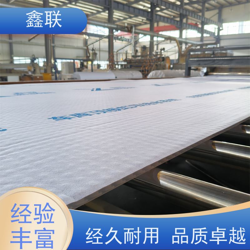 鑫联 15mm高板布一体疏水板 虹吸排水系统 支持验厂 海绵城市