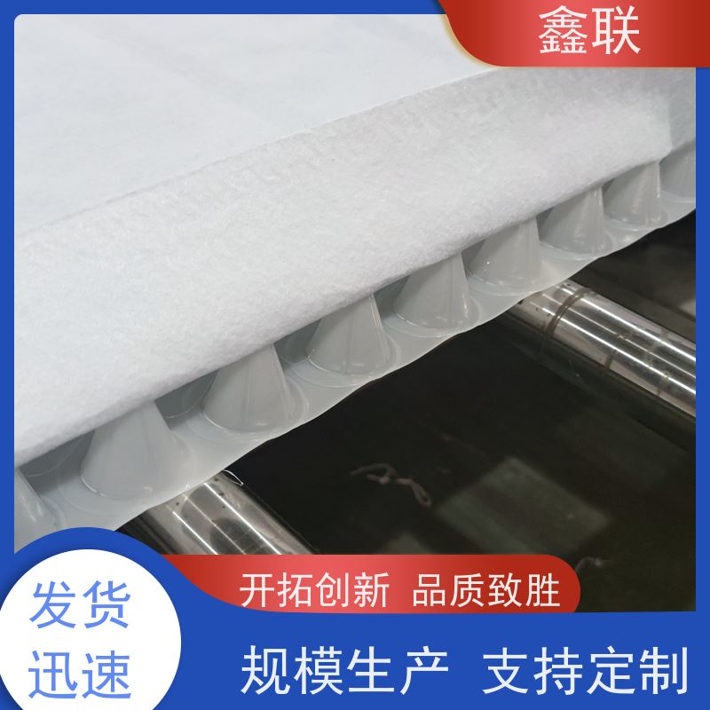 鑫联 15mm高板布一体疏水板 车库虹吸排水系统 支持验厂 包工