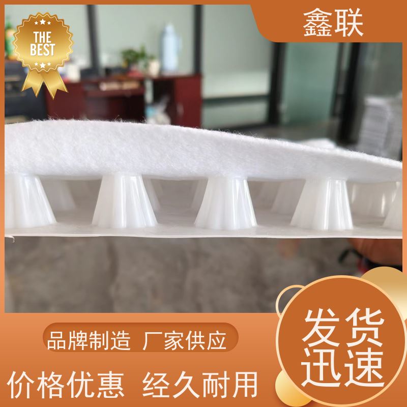 鑫联 15mm高板布一体疏水板 有序虹吸排水系统 施工指导 包工