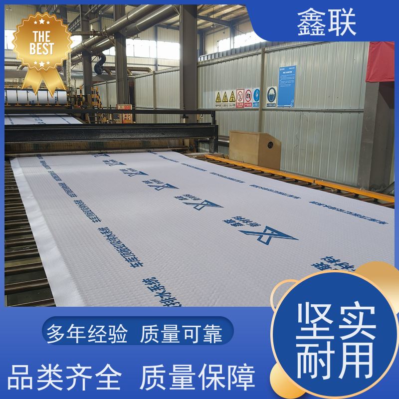 鑫联 15mm高板布一体疏水板 虹吸排水系统 支持验厂 包工