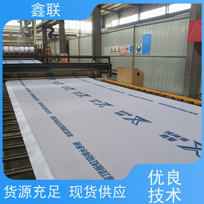 鑫联 15mm高板布一体疏水板 车库虹吸排水系统 建筑工程 可定制