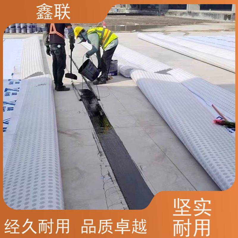 鑫联 15mm高板布一体疏水板 车库虹吸排水系统 支持验厂 海绵城市