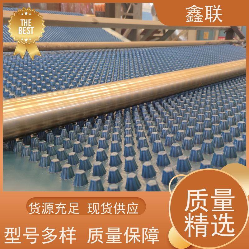 鑫联 凹凸型排蓄水板 塑料凸片排水层 建筑工程 耐腐蚀