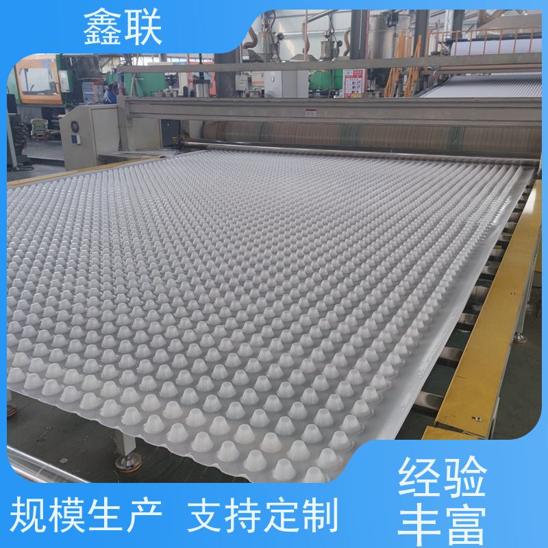 鑫联 凹凸型排蓄水板 塑料凸片排水层 楼顶花园 耐腐蚀