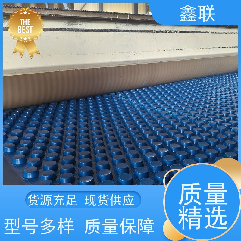 鑫联 凹凸型排蓄水板 塑料凸片排水层 建筑工程 实力品牌