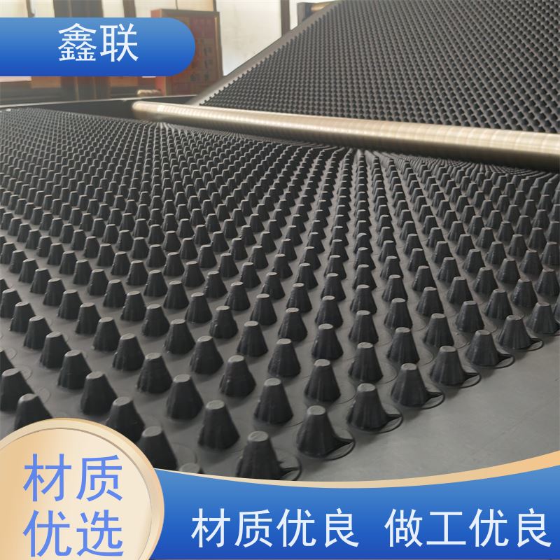 鑫联 聚乙烯排水板 聚丙烯蓄水板 黑色20mm 建筑工程 免费邮寄样品