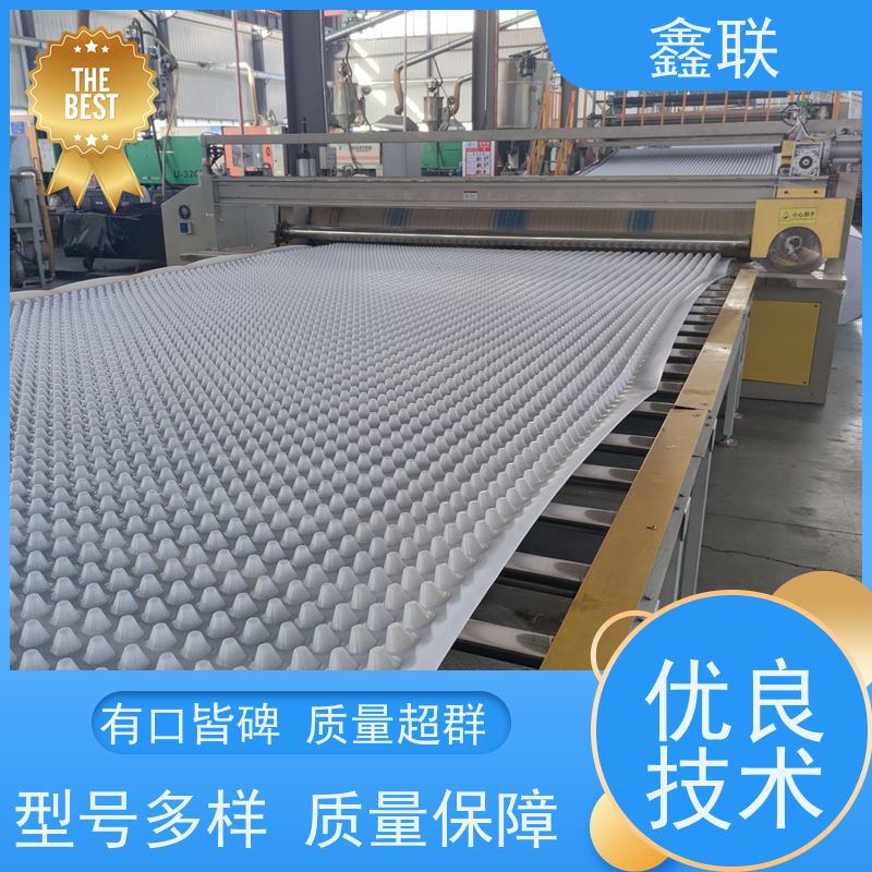鑫联 凸片排水板 成品复合塑料疏水板 建筑工程 网状交织排滤水板