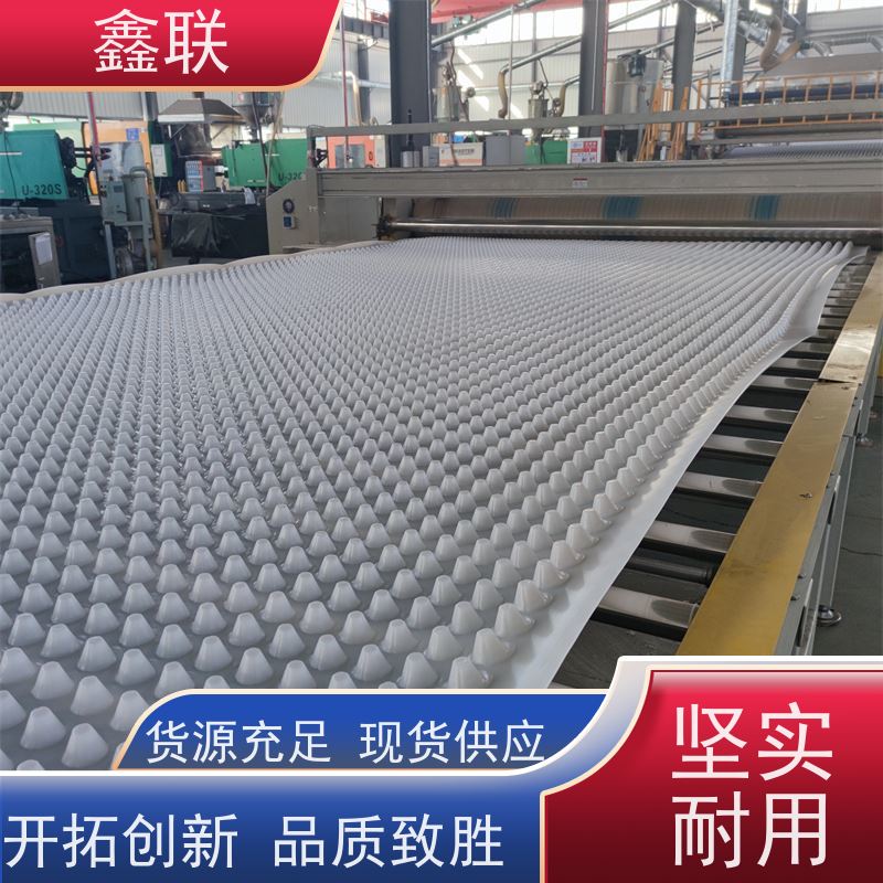 鑫联 塑料夹层排水板（成品） HDPE疏水板 建筑工程 实力品牌