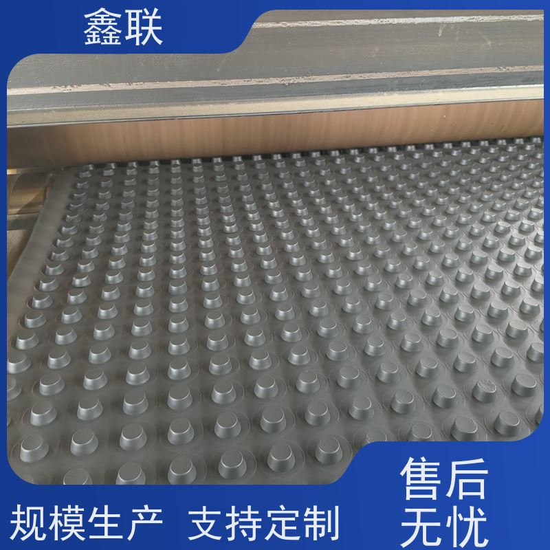 鑫联 凹凸型排蓄水板 塑料凸片排水层 楼顶花园 实力品牌