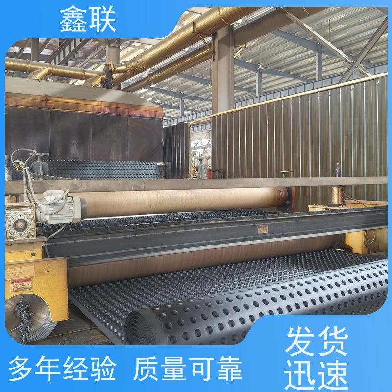 鑫联 30厚凹凸型PE排水板 塑料凸片排水层 水利工程 建筑蓄水疏水