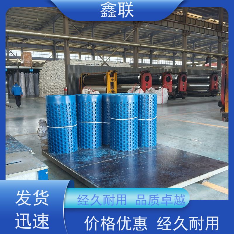 鑫联 20高PE凹凸型排（蓄）水板 塑料透水疏水板 建筑工程 耐腐蚀