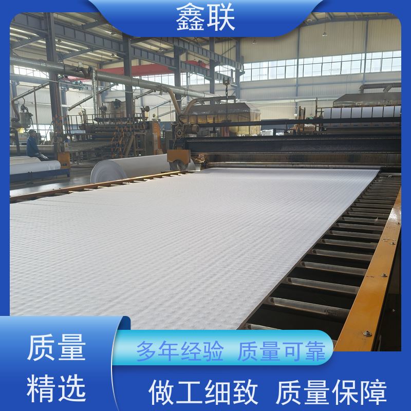 鑫联 排蓄水异形片 有序虹吸排水系统 优化设计 海绵城市