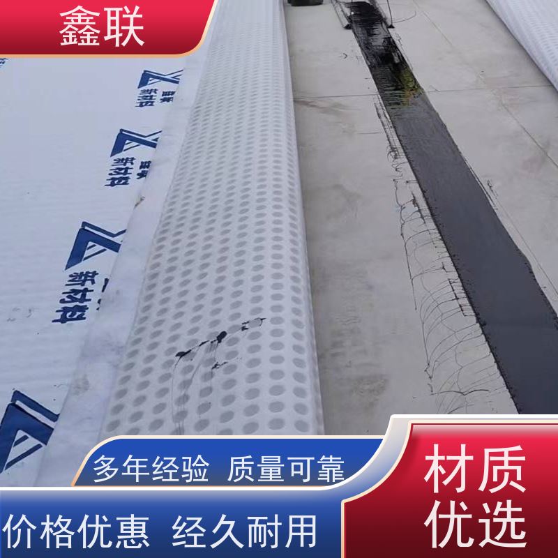 鑫联 15mm高板布一体疏水板 有序虹吸排水系统 支持验厂 包工