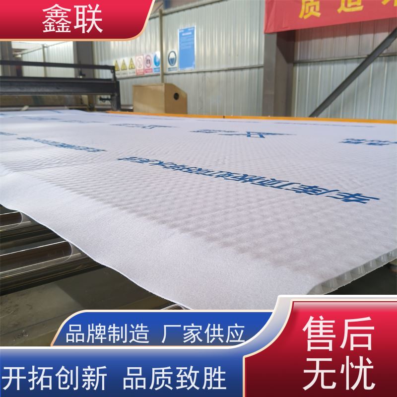 鑫联 排蓄水异形片 地库顶板虹吸排水系统 建筑工程 厂家