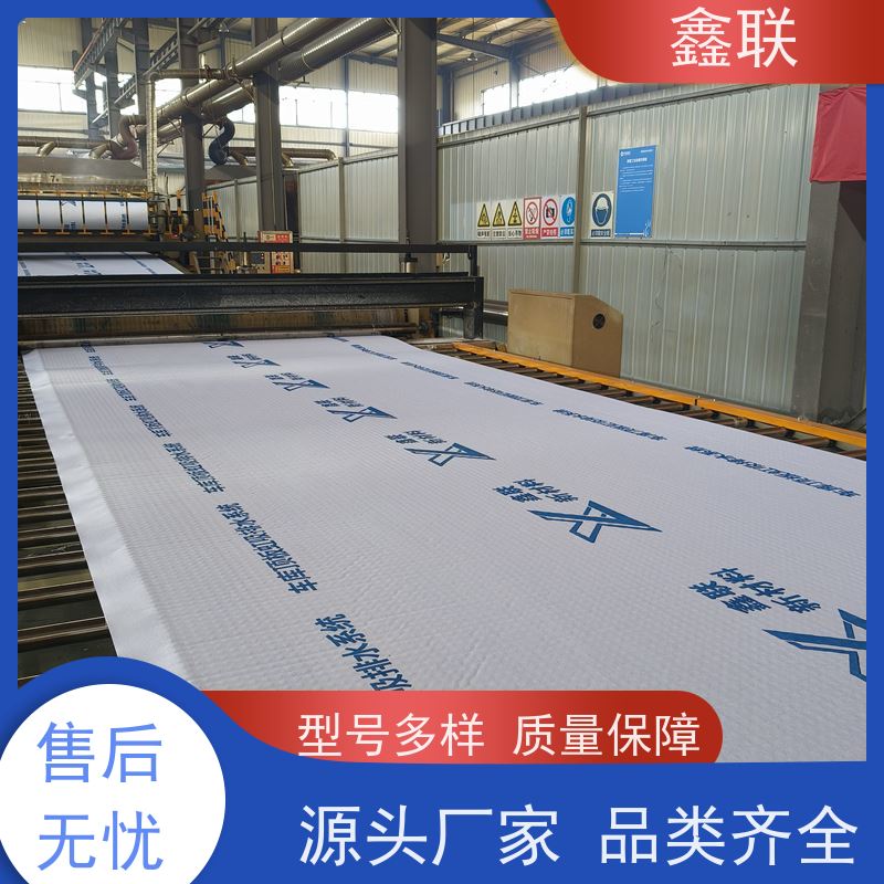 鑫联 15mm高板布一体疏水板 有序虹吸排水系统 建筑工程 厂家