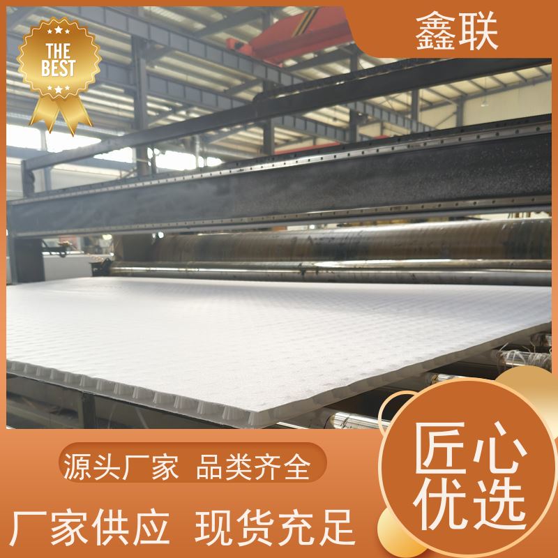 鑫联 排蓄水异形片 虹吸排水系统 建筑工程 厂家