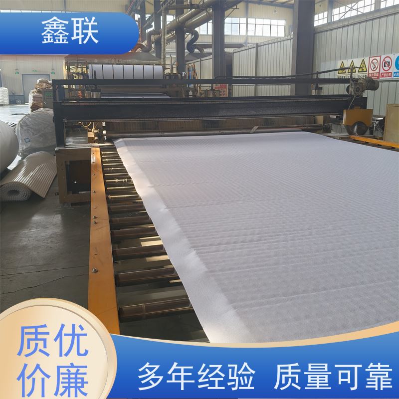 鑫联 排蓄水异形片 车库顶板虹吸排水系统 支持验厂 包工