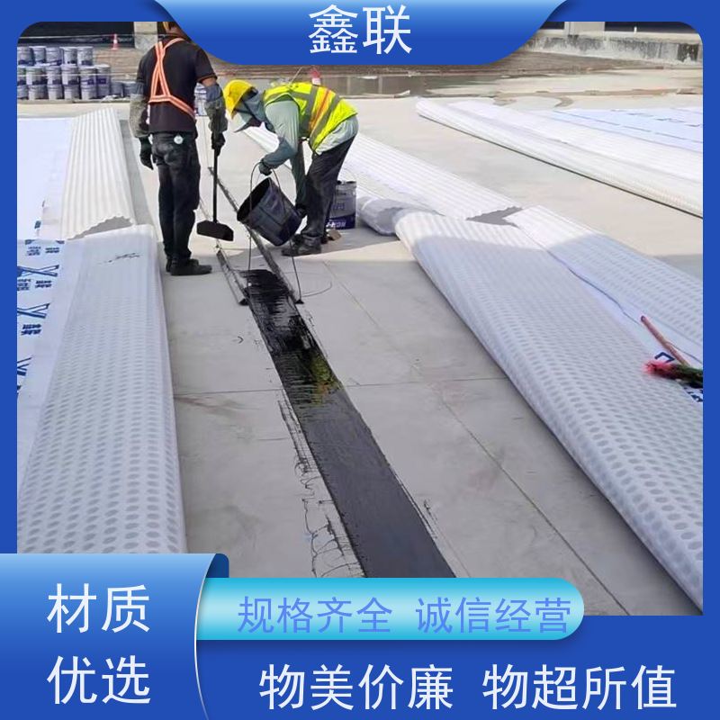 鑫联 排蓄水异形片 车库虹吸排水系统 支持验厂 可定制