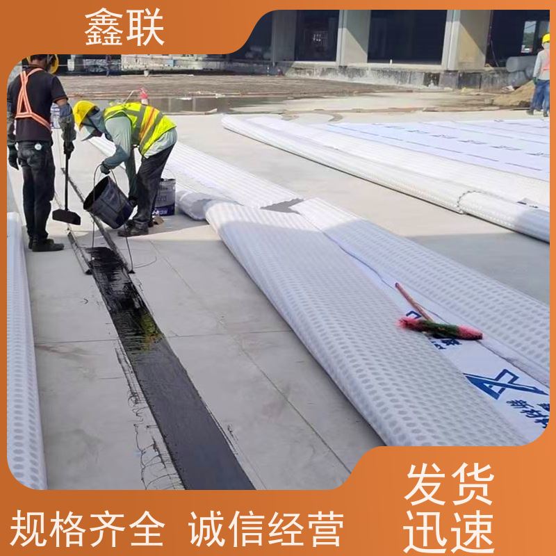 鑫联 15mm高板布一体疏水板 有序虹吸排水系统 支持验厂 海绵城市