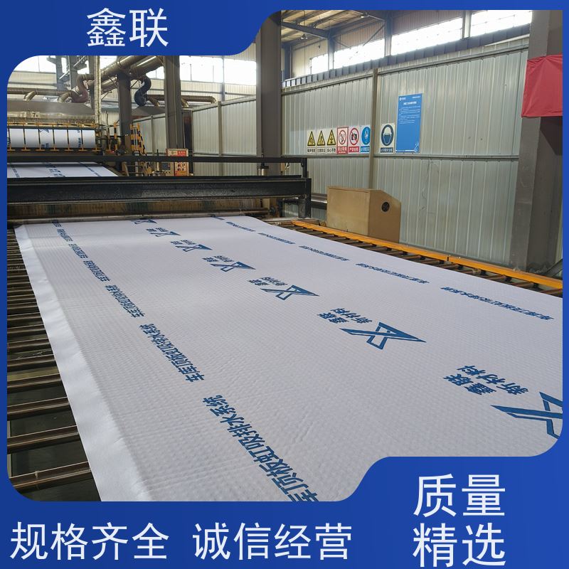 鑫联 15mm高板布一体疏水板 地库顶板虹吸排水系统 施工指导 包工