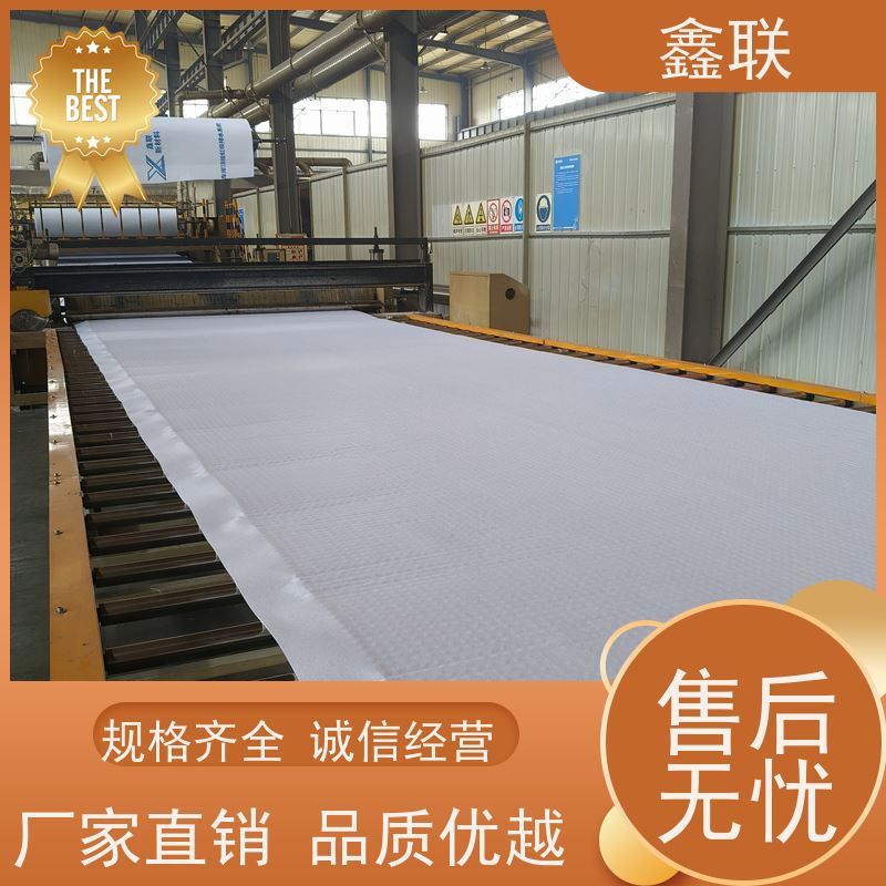 鑫联 排蓄水异形片 地库顶板虹吸排水系统 建筑工程 包工