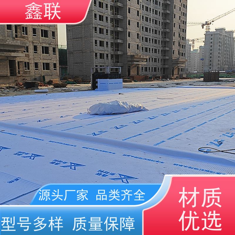 鑫联厂家 PED14高分子防护排水异型片 海绵城市复合排水板