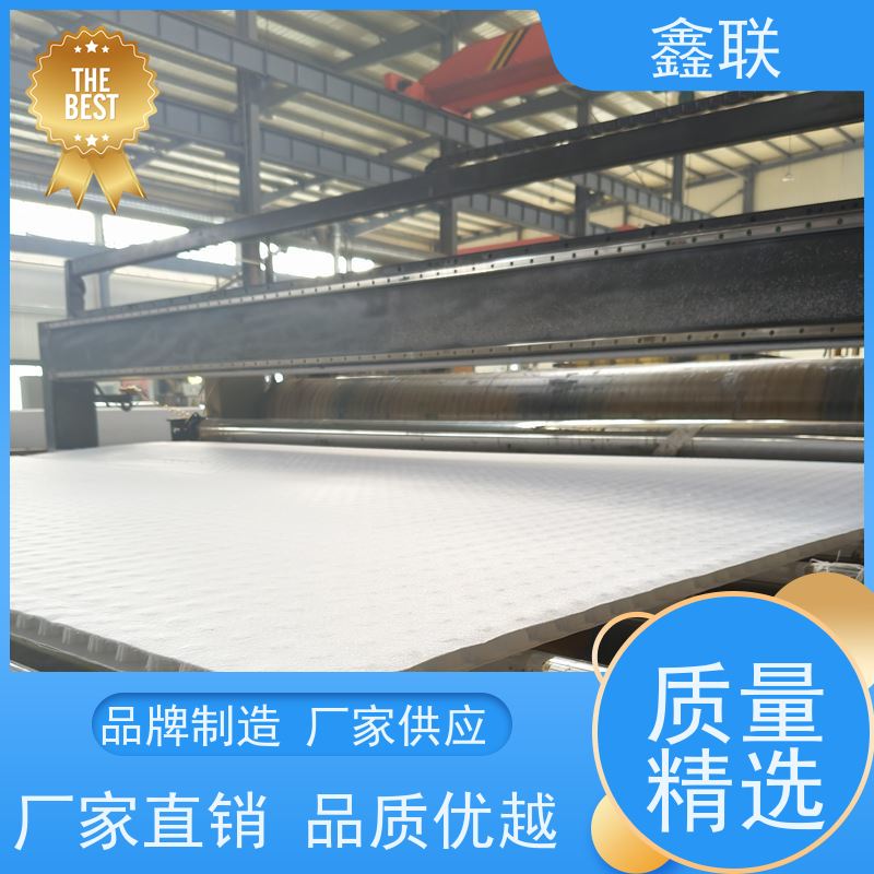 鑫联 排蓄水异形片 有序虹吸排水系统 支持验厂 海绵城市