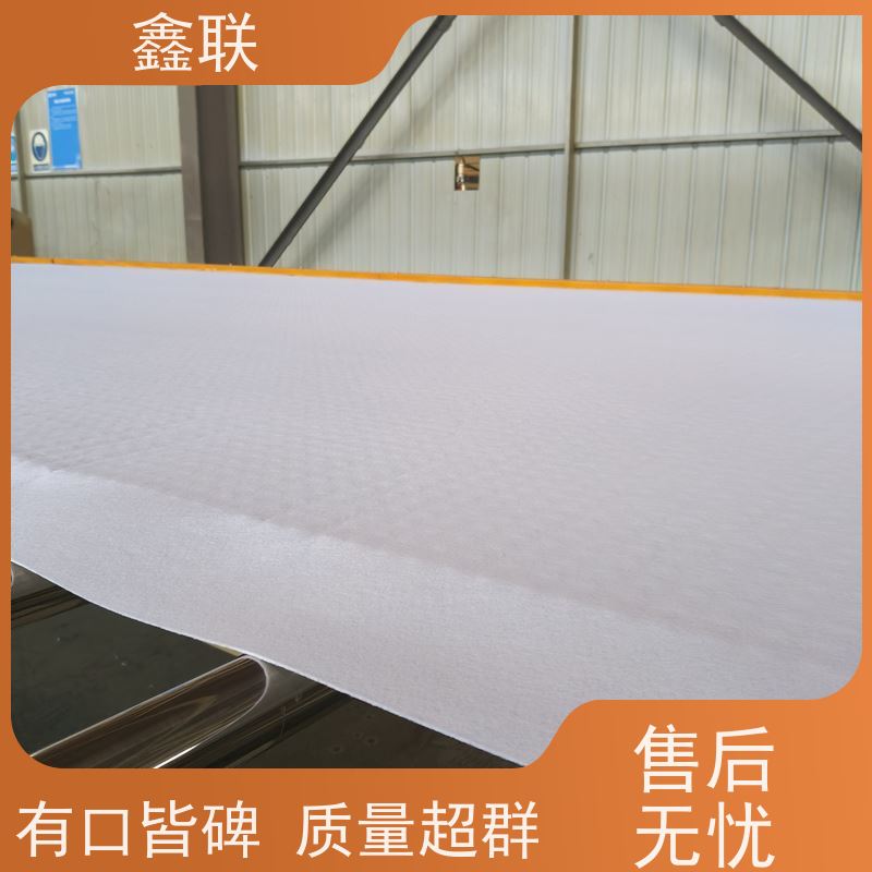 鑫联 排蓄水异形片 虹吸排水系统 支持验厂 包工